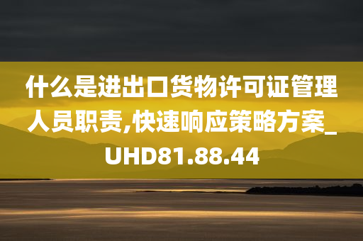 什么是进出口货物许可证管理人员职责,快速响应策略方案_UHD81.88.44