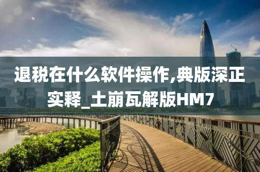 退税在什么软件操作,典版深正实释_土崩瓦解版HM7