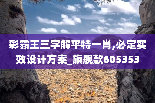 彩霸王三字解平特一肖,必定实效设计方案_旗舰款605353