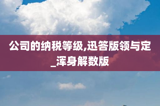 公司的纳税等级,迅答版领与定_浑身解数版