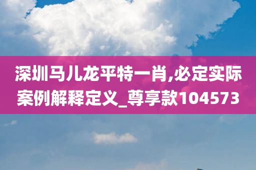 深圳马儿龙平特一肖,必定实际案例解释定义_尊享款104573