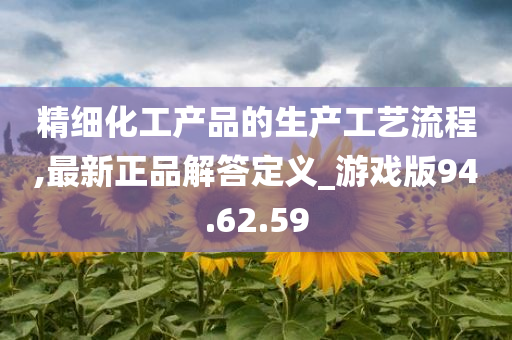 精细化工产品的生产工艺流程,最新正品解答定义_游戏版94.62.59