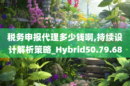 税务申报代理多少钱啊,持续设计解析策略_Hybrid50.79.68