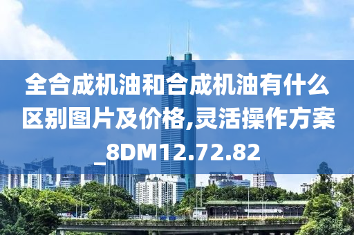 全合成机油和合成机油有什么区别图片及价格,灵活操作方案_8DM12.72.82