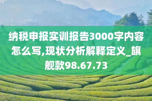 纳税申报实训报告3000字内容怎么写,现状分析解释定义_旗舰款98.67.73