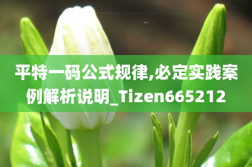 平特一码公式规律,必定实践案例解析说明_Tizen665212