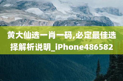 黄大仙选一肖一码,必定最佳选择解析说明_iPhone486582