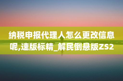 纳税申报代理人怎么更改信息呢,速版标精_解民倒悬版ZS2