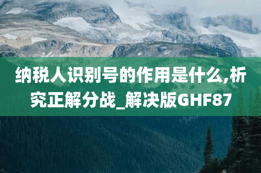 纳税人识别号的作用是什么,析究正解分战_解决版GHF87