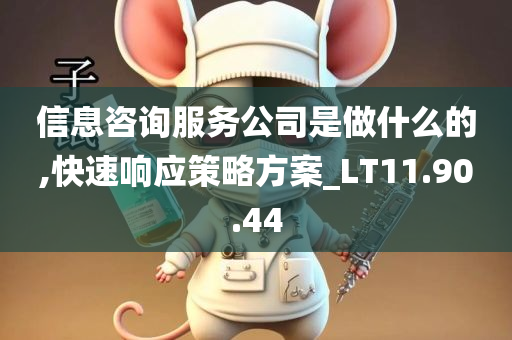 信息咨询服务公司是做什么的,快速响应策略方案_LT11.90.44