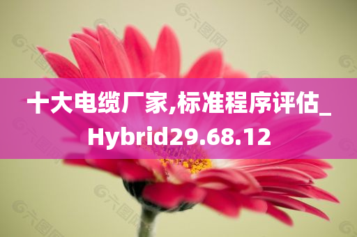 十大电缆厂家,标准程序评估_Hybrid29.68.12