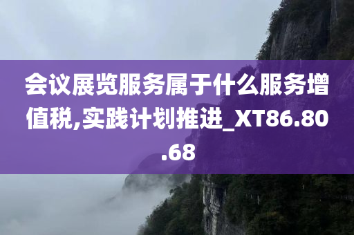 会议展览服务属于什么服务增值税,实践计划推进_XT86.80.68