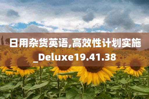 日用杂货英语,高效性计划实施_Deluxe19.41.38