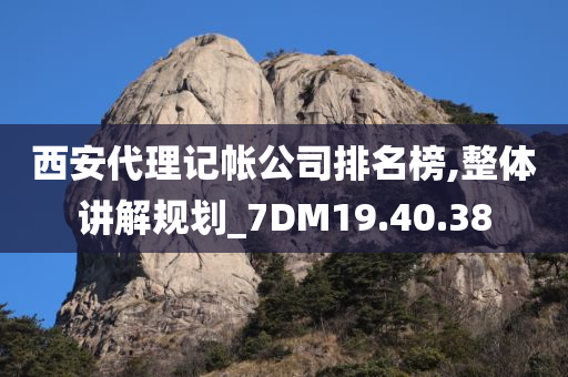 西安代理记帐公司排名榜,整体讲解规划_7DM19.40.38