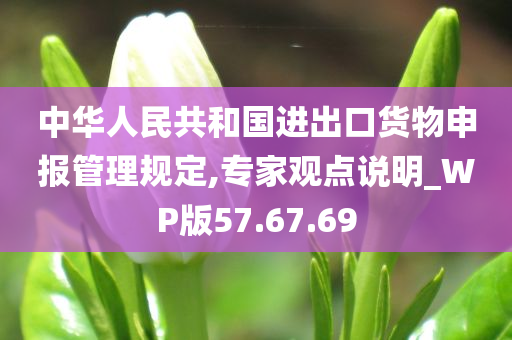 中华人民共和国进出口货物申报管理规定,专家观点说明_WP版57.67.69