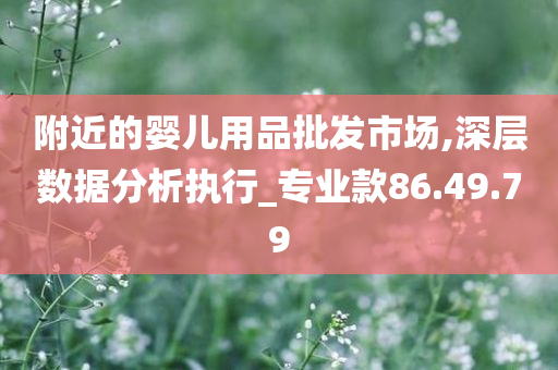 附近的婴儿用品批发市场,深层数据分析执行_专业款86.49.79