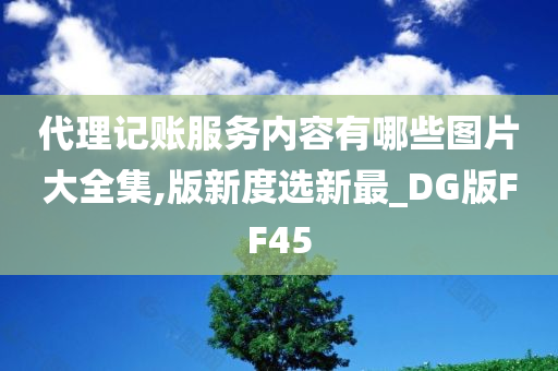 代理记账服务内容有哪些图片大全集,版新度选新最_DG版FF45