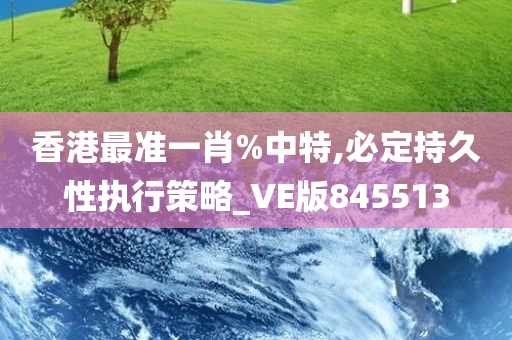 香港最准一肖%中特,必定持久性执行策略_VE版845513