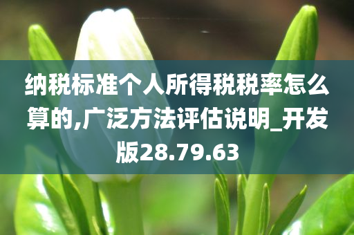 纳税标准个人所得税税率怎么算的,广泛方法评估说明_开发版28.79.63