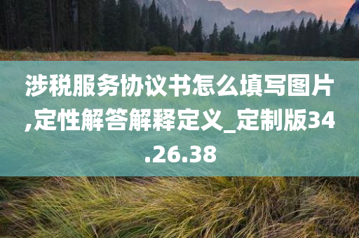 涉税服务协议书怎么填写图片,定性解答解释定义_定制版34.26.38