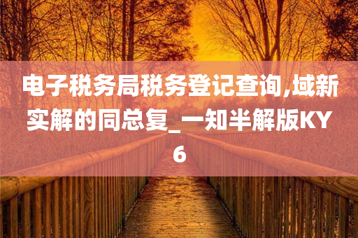 电子税务局税务登记查询,域新实解的同总复_一知半解版KY6