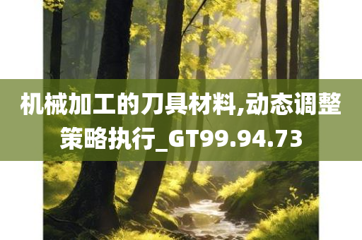 机械加工的刀具材料,动态调整策略执行_GT99.94.73