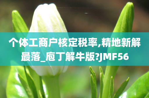 个体工商户核定税率,精地新解最落_庖丁解牛版?JMF56