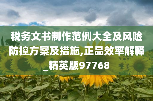 税务文书制作范例大全及风险防控方案及措施,正品效率解释_精英版97768