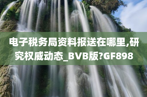 电子税务局资料报送在哪里,研究权威动态_BVB版?GF898