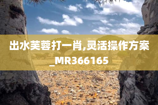 出水芙蓉打一肖,灵活操作方案_MR366165