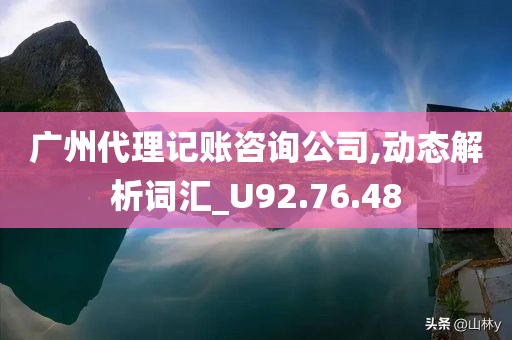 广州代理记账咨询公司,动态解析词汇_U92.76.48