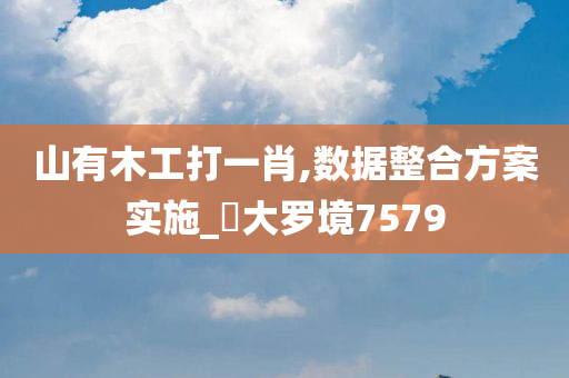 山有木工打一肖,数据整合方案实施_‌大罗境7579