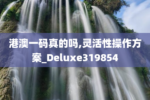 港澳一码真的吗,灵活性操作方案_Deluxe319854