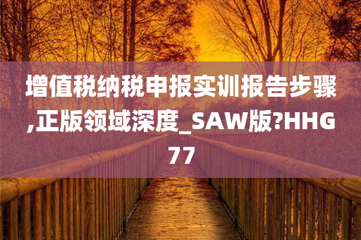 增值税纳税申报实训报告步骤,正版领域深度_SAW版?HHG77