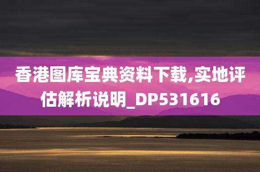 香港图库宝典资料下载,实地评估解析说明_DP531616