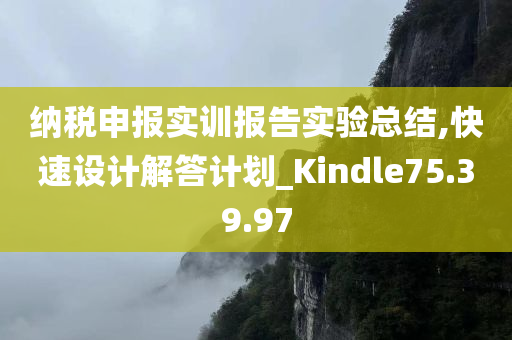 纳税申报实训报告实验总结,快速设计解答计划_Kindle75.39.97