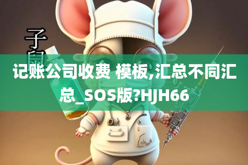 记账公司收费 模板,汇总不同汇总_SOS版?HJH66