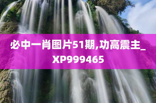 必中一肖图片51期,功高震主_XP999465