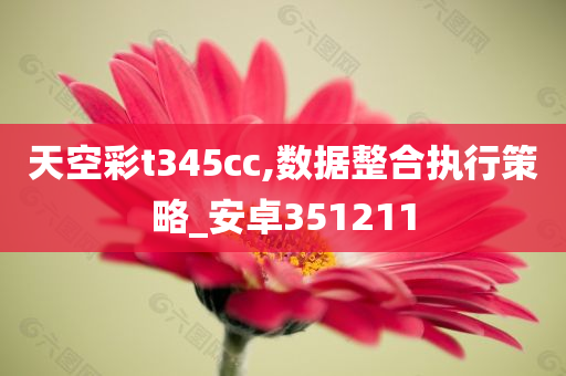 天空彩t345cc,数据整合执行策略_安卓351211