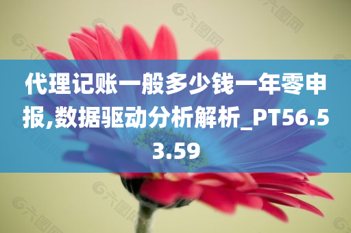 代理记账一般多少钱一年零申报,数据驱动分析解析_PT56.53.59