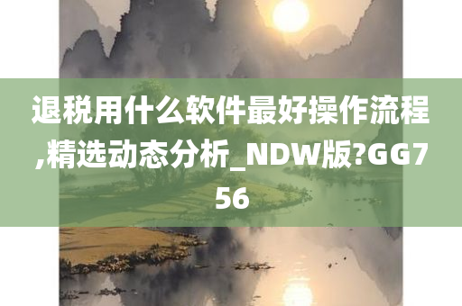 退税用什么软件最好操作流程,精选动态分析_NDW版?GG756