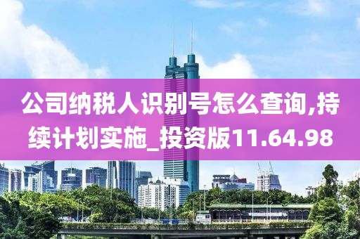 公司纳税人识别号怎么查询,持续计划实施_投资版11.64.98