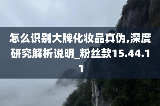 怎么识别大牌化妆品真伪,深度研究解析说明_粉丝款15.44.11