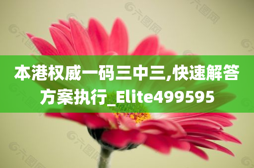 本港权威一码三中三,快速解答方案执行_Elite499595