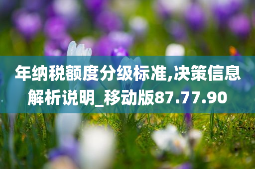 年纳税额度分级标准,决策信息解析说明_移动版87.77.90