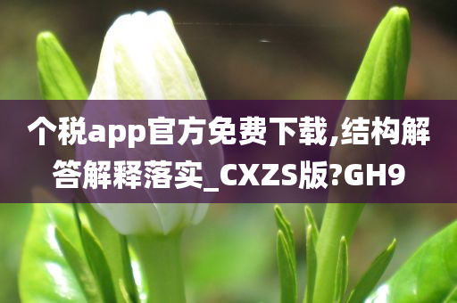 个税app官方免费下载,结构解答解释落实_CXZS版?GH9