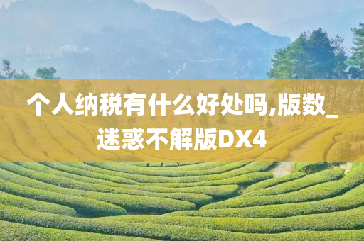 个人纳税有什么好处吗,版数_迷惑不解版DX4