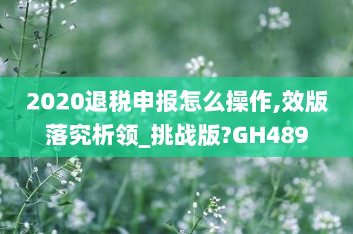 2020退税申报怎么操作,效版落究析领_挑战版?GH489