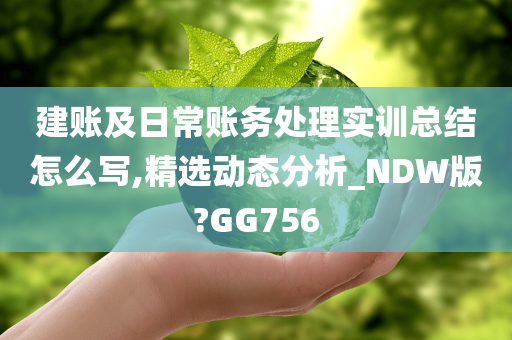 建账及日常账务处理实训总结怎么写,精选动态分析_NDW版?GG756