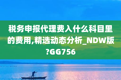 税务申报代理费入什么科目里的费用,精选动态分析_NDW版?GG756